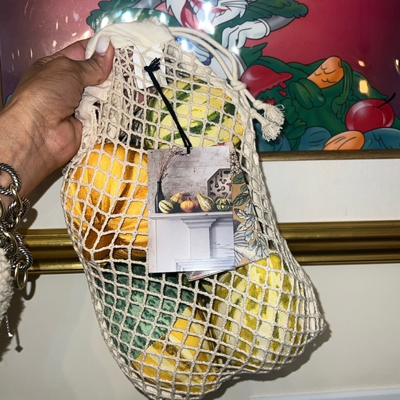 John Derian Fabric Gourds 🌽🍁🍂 - Picture 2 of 9